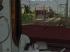 Diesel-Loks der DB der BR V100 in Ep III (3)