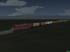 Diesellok DBAG 241 449 Cargo in Epoche V (4)