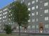 Sommerb�ume und -b�sche (1)