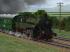 Tenderlokomotive T12 der L�beck-B�chener Eisenbahn Bauart 1914 (3)