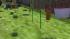W�scheleinen und W�sche mit Windfunktion (3)
