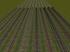 Schmalspur- und Normalspur-Gleise ohne Schotterbett in 3D-Ausf�hrung ab EEP8.0 (1)