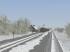 Der n�chste Winter kommt bestimmt (1938) (1)