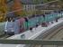 Triebzug S�wex DB Regio (2)