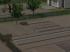 Gartenbeete, -wege und -z�une (2)