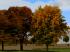 Herbstvegetation bunt (1)