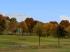 Herbstvegetation bunt (3)