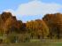 Herbstvegetation bunt (4)