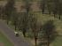 Laubb�ume - blattlos (1)