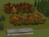 Herbstb�ume als Gruppen und Waldmodule (3)