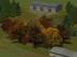 Herbstb�ume als Gruppen und Waldmodule (4)