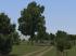 Birnb�ume, Weiden, Linden und B�sche (2)