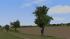 Obstb�ume alt (3)