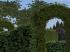 Hecken als 3D-Splines, Set2 (4)