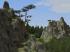 Bergformation und Bergkiefern im Set (3)