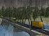 Moderne Stahlbr�cke (2)