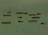 Langsamfahrsignale Lf6 & Lf7 (Set 1) (4)