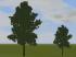 Laub-B�ume - 7 verschiedene Arten � Sommer (2)