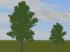 Laub-B�ume - 7 verschiedene Arten � Sommer (4)