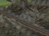 Felsen und Steine (1)