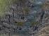 Felsen und Steine (4)