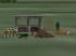G�rtnerei Linden Set im EEP-Shop kaufen