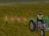 Zubeh�r f�r Oldtimertraktoren - Set im EEP-Shop kaufen