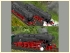 Dampflokomotiven DB 85 005 und DB 8 im EEP-Shop kaufen