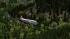 Douglas DC3_SwissAir_RS5 im EEP-Shop kaufen