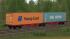 Zweiteiliger Containertragwagen Sgg im EEP-Shop kaufen
