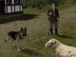 Sch�fer und Schafherde � Set 1
