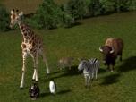 Tierpark � Wildtiere - Set 1