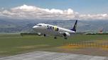 B7378W JA737N ( Skymark Airlin