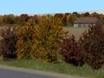 Herbstbsche