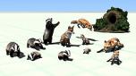 Wo sich Fuchs und Dachs Gute N
