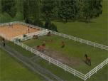 Reitplatz mit Koppelzaun und Z
