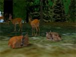Rehe, Hirsche, Kitze
