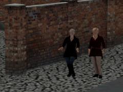 Frauen � Herbst / Winter Set 2 (V10NDL10165 )