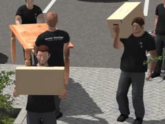 Umzugshelfer & Zubeh&ouml;r (V10NDL10166 )