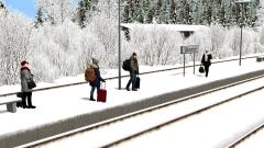 Erwachsene Reisende im Winter – Set 1 (V10NJR10015 ) Erwachsene Reisende im Winter – Set 1 (V10NJR10015 )