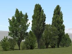 Kombinierte Baum- und Buschreihen