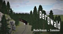 Bergwald - Nadelbäume Sommer (V11NUB20020 ) Bergwald - Nadelbäume Sommer (V11NUB20020 )
