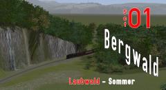Bergwald Laub Sommer  SET 01