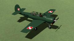  Geburtstagsmodell Yak52-SP-YGD_RS5 im EEP-Shop kaufen