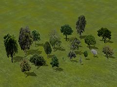 Bäume (Set 2) (V15NNR10051 )