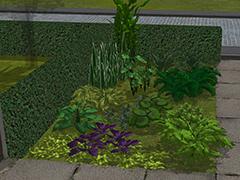 Pflanzen (Garten Set 7)