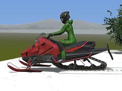 Snowmobile / Motorschlitten