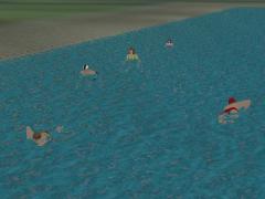 Schwimmende Menschen (V60NBH10241 )