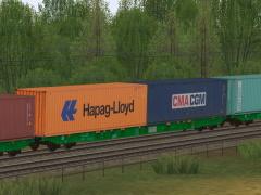 Containertragwagen Typ Sggnss SETG