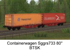 Zweiteiliger Containertragwagen Sggrs733 BTSK Set1 (V60NDB10490 )